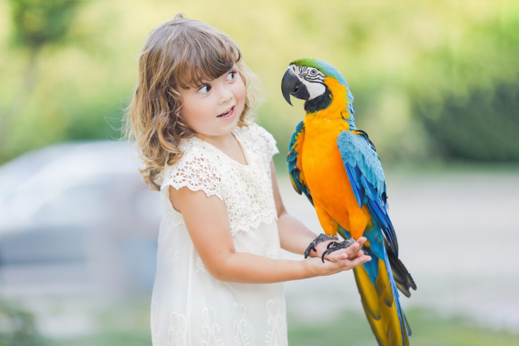 Proper bird care is essential for the healthy life of your pet bird. Pictured here is a young girl holding her pet macaw.