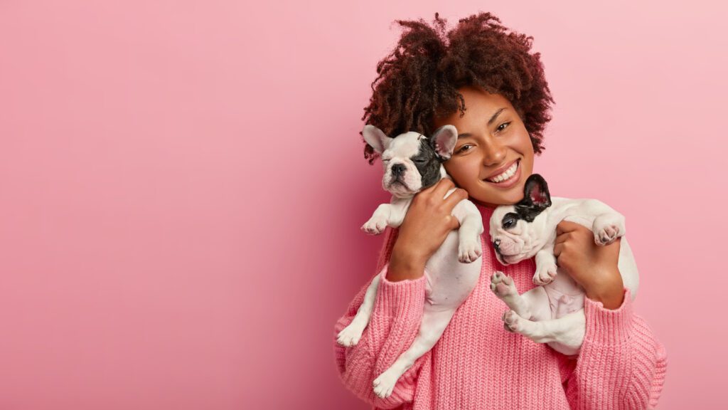 Happy female pet lover poses with two French bulldogs on a pink background