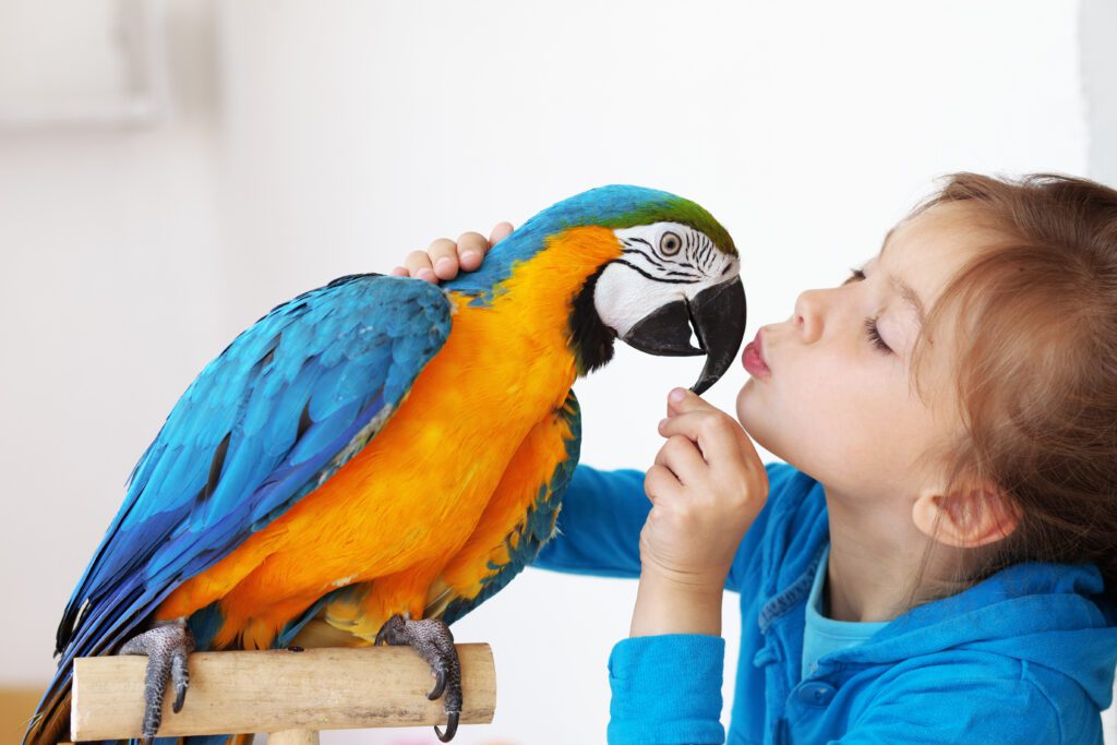 Macaws can potentially be good pets for families with children, but it's important to consider a few factors before making a decision