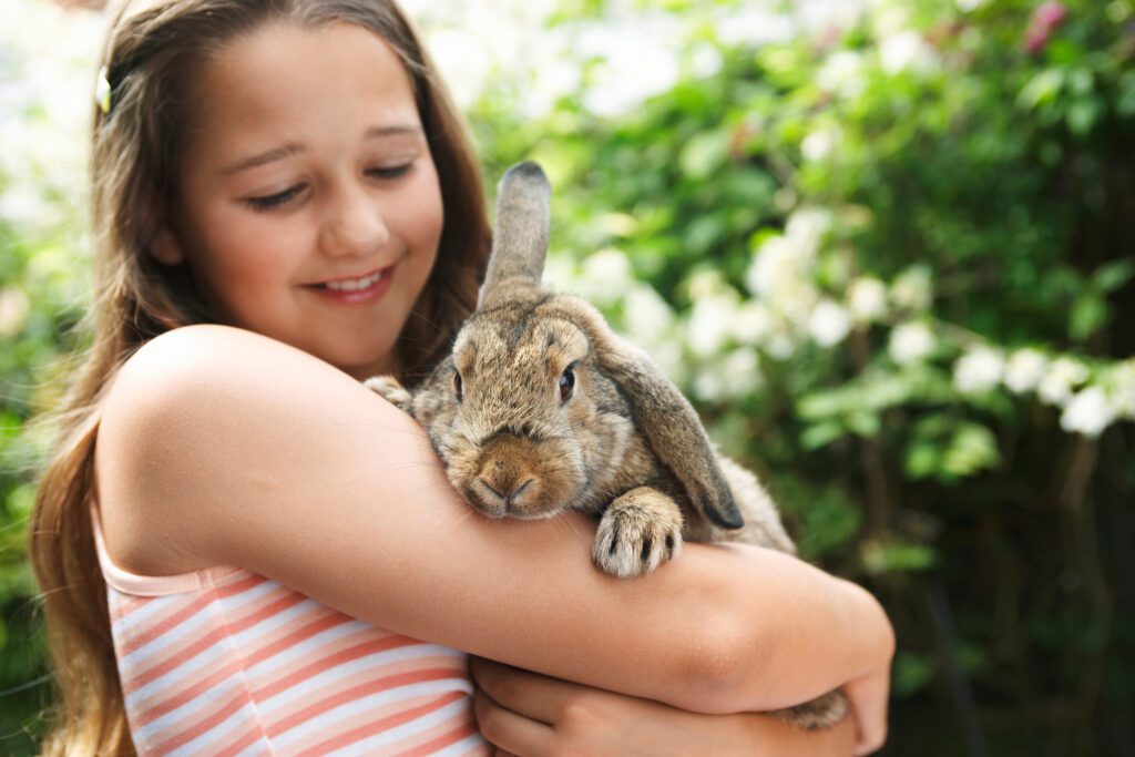 When it comes to your pet rabbit, proper exercise and a nutritious diet are essential for maintaining their health, happiness, and longevity.