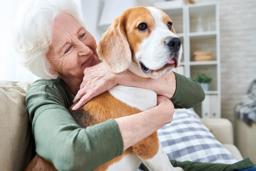 Dogs, with their unwavering loyalty and affectionate nature, make wonderful companions for seniors.