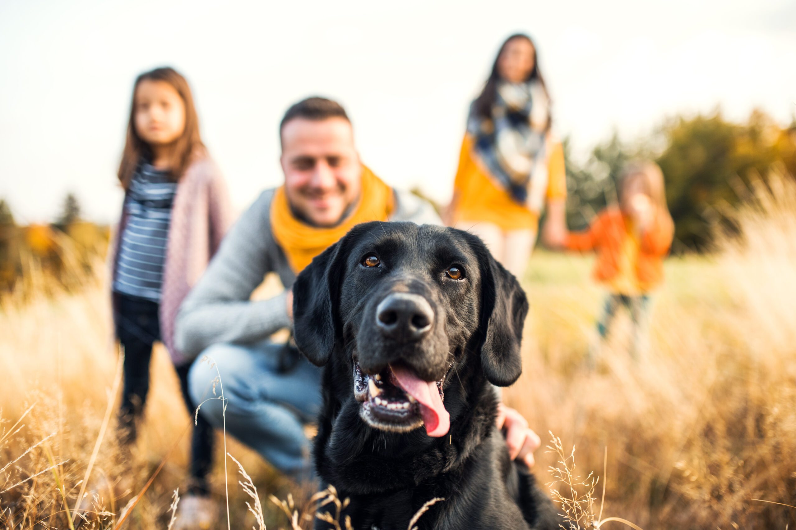 In this blog we'll explore some of the best pets and breeds that are known for their gentle nature and compatibility with young children