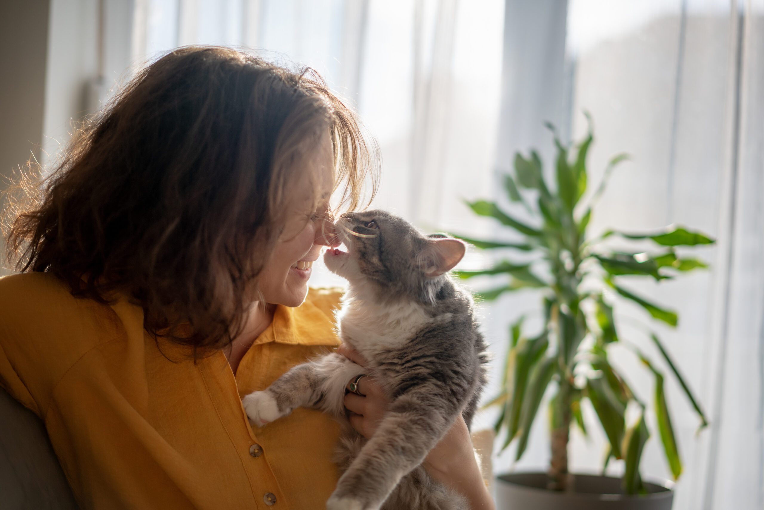 Why is my cat biting me? There could be a few reasons why your cat tries to bite you when you pet them.