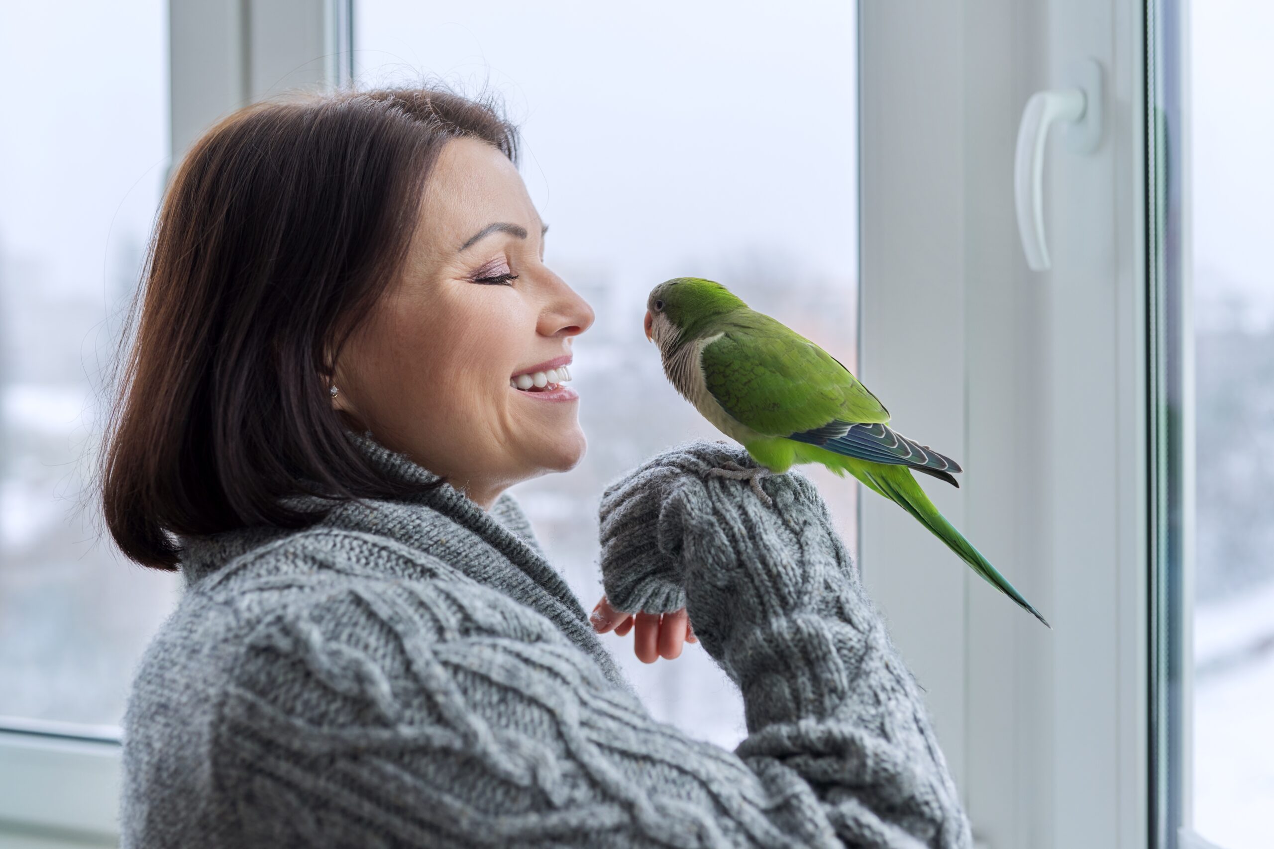 Deciding whether to let your pet bird fly around your house depends on several factors...