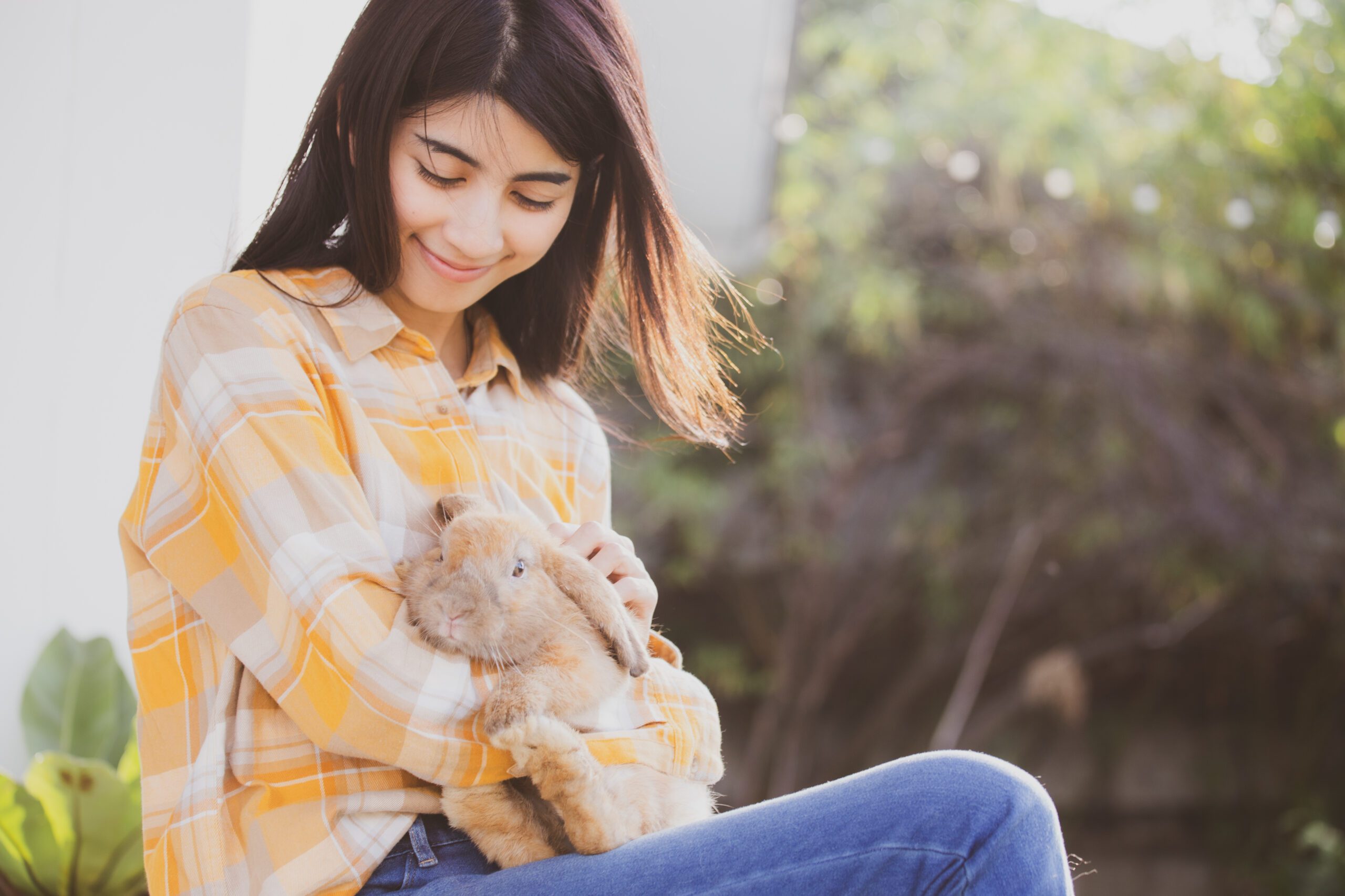 When it comes to your pet rabbit, proper exercise and a nutritious diet are essential for maintaining their health, happiness, and longevity.