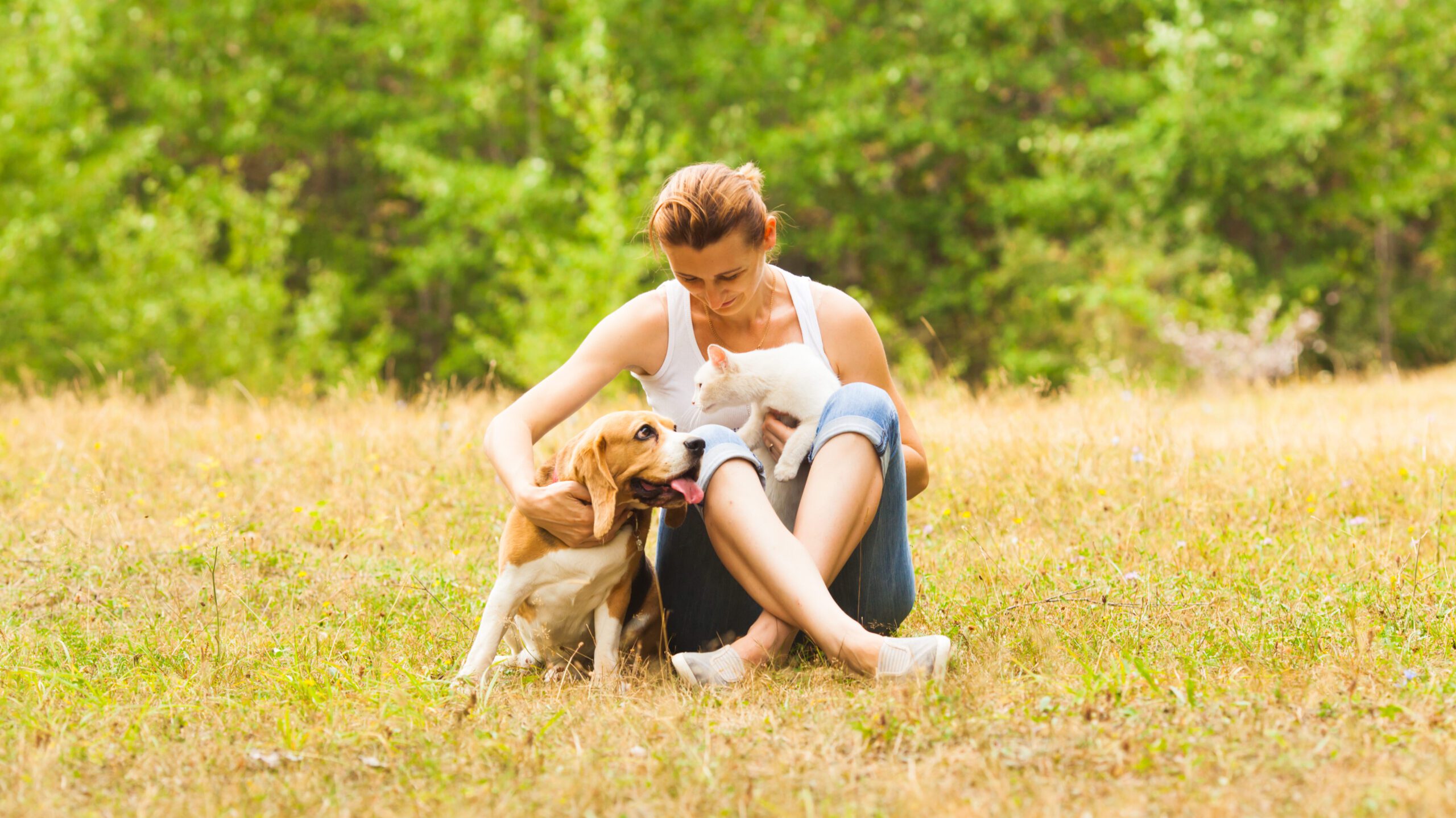 The mental health and mood benefits of owning a pet are numerous and have been scientifically proven.