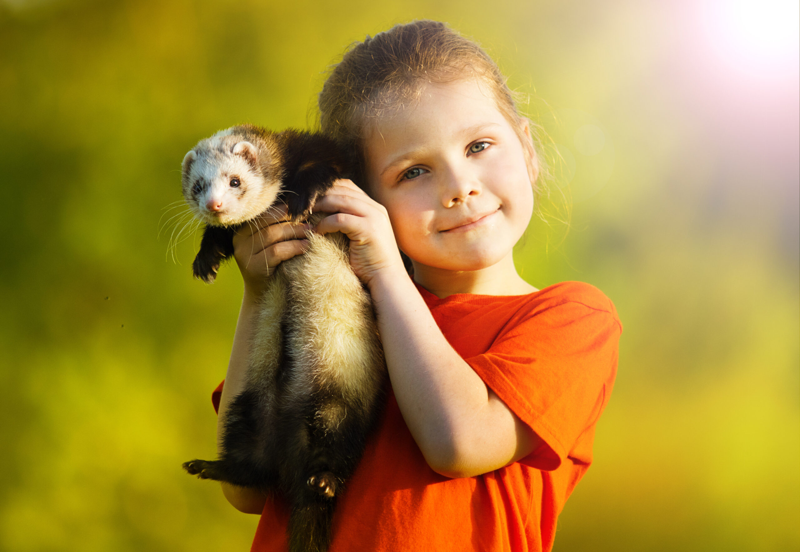 While ferrets can make fantastic companions, it's important to consider various factors to ensure a harmonious living environment.