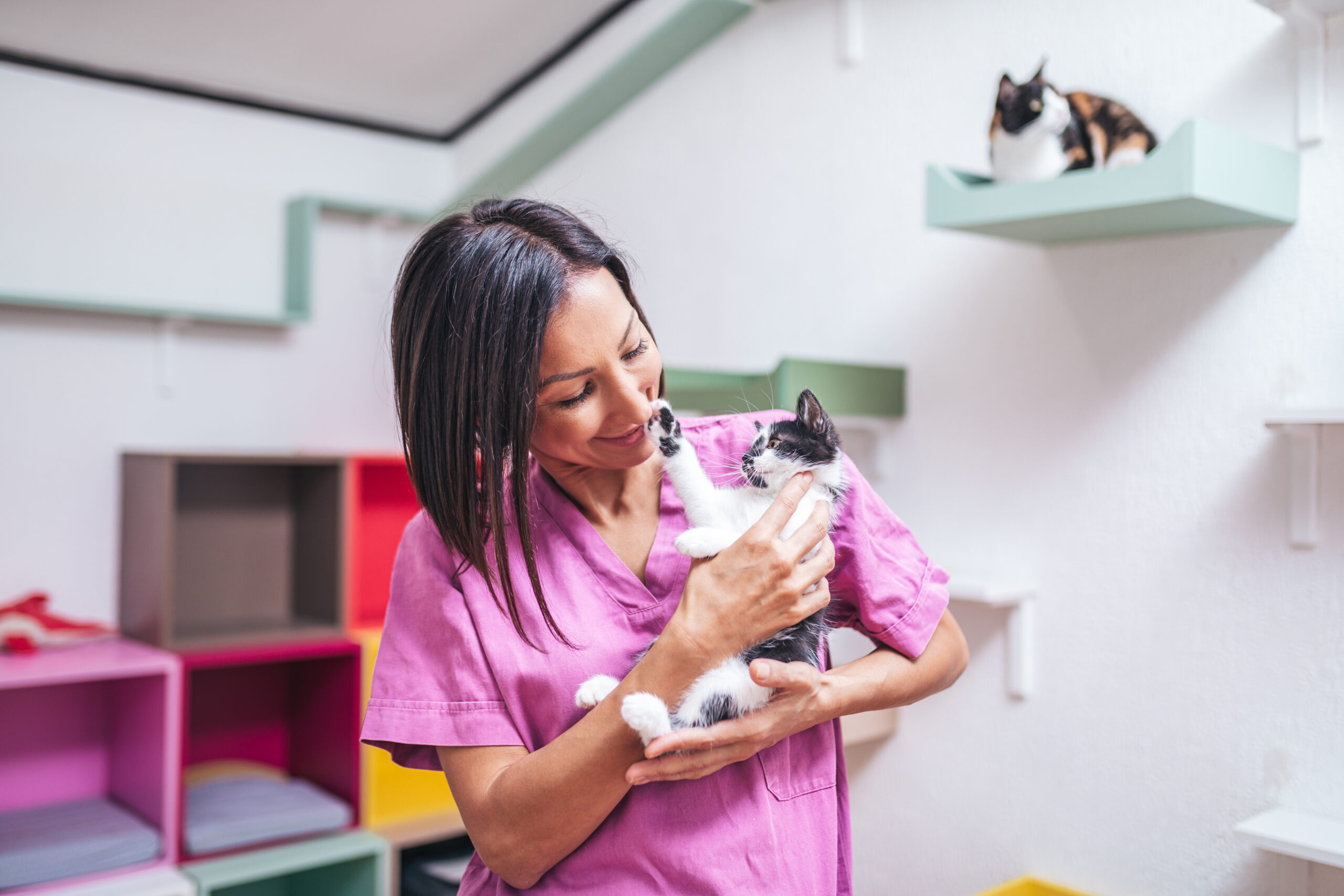 In this blog we explore the financial aspects of pet adoption and offer tips on how to prepare for this wonderful journey.