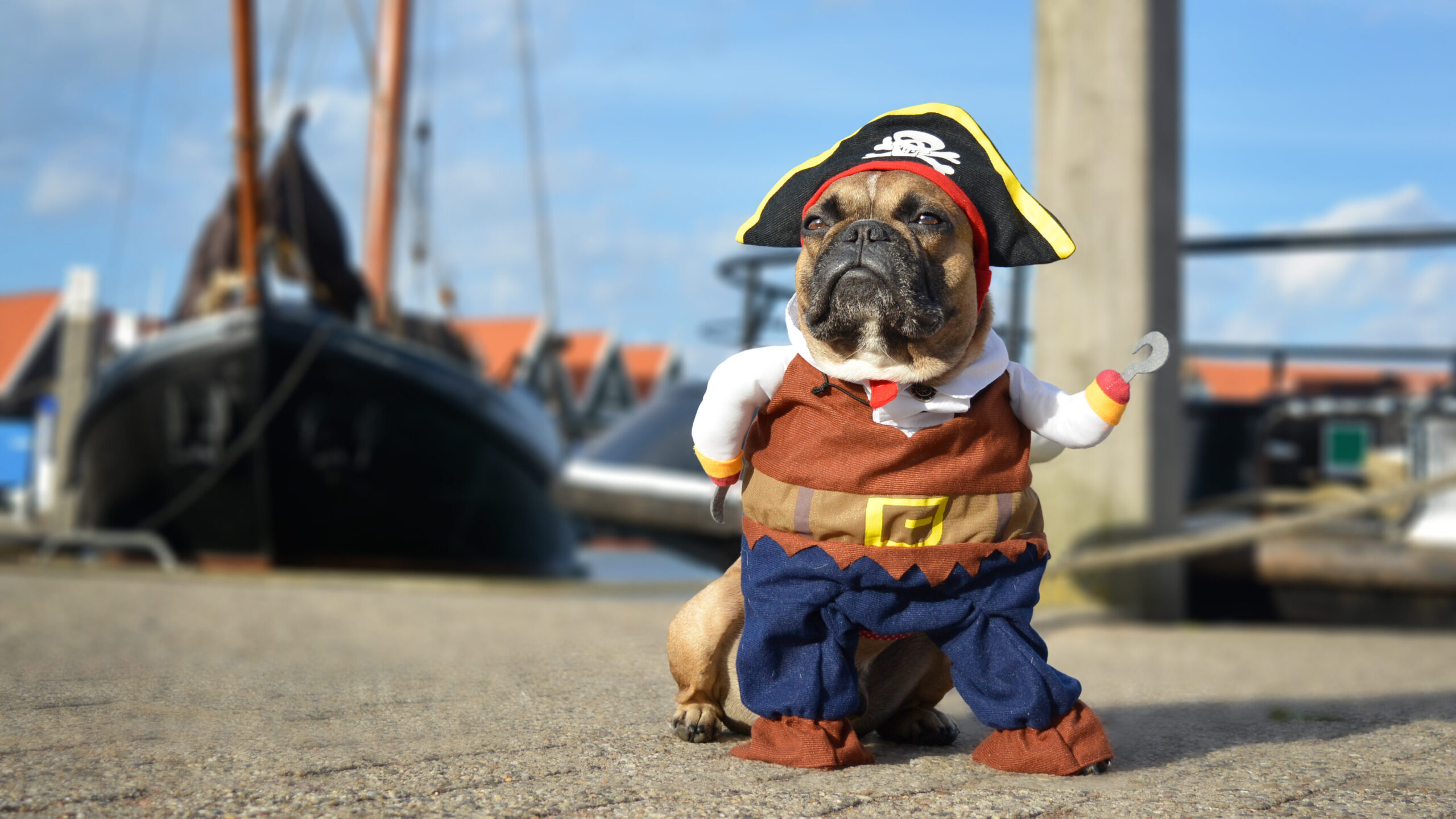 Halloween isn't just for humans anymore! Pet owners around the world have embraced the tradition of dressing up their dogs in adorable and creative costumes.