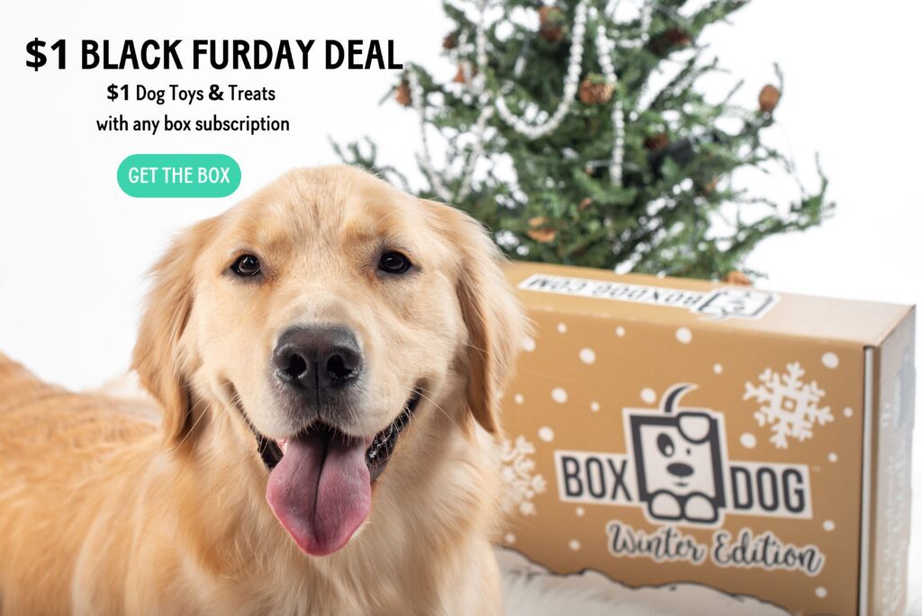 box dog subscription box